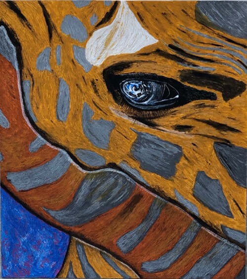 El ojo de una jirafa