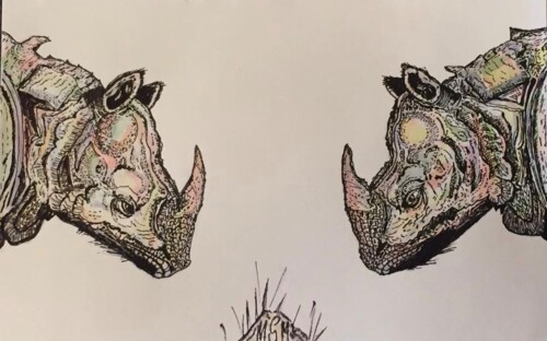 Apunte Rhino versus Rhino