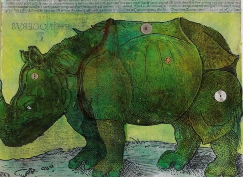 Rhino para Anna Y William