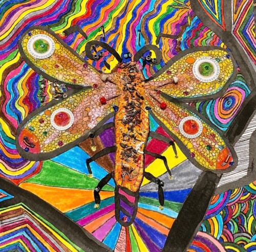 Libélula multicolor